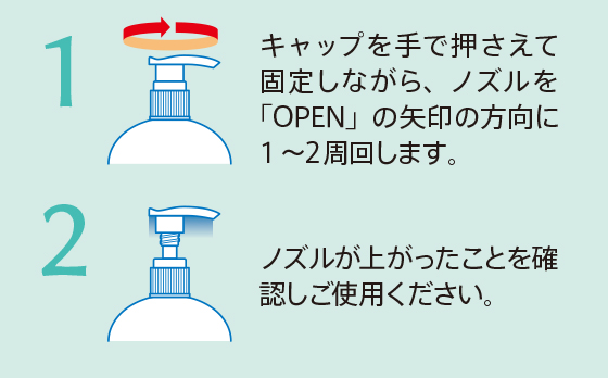 P32009HOWTO1_PC