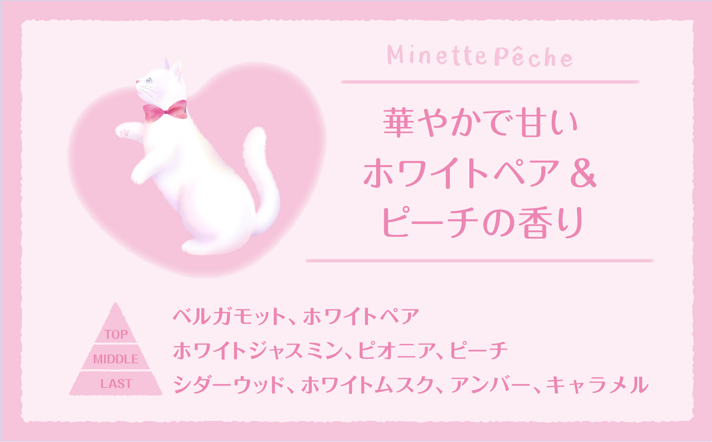 chaton_EC_MP_560_348_PC用