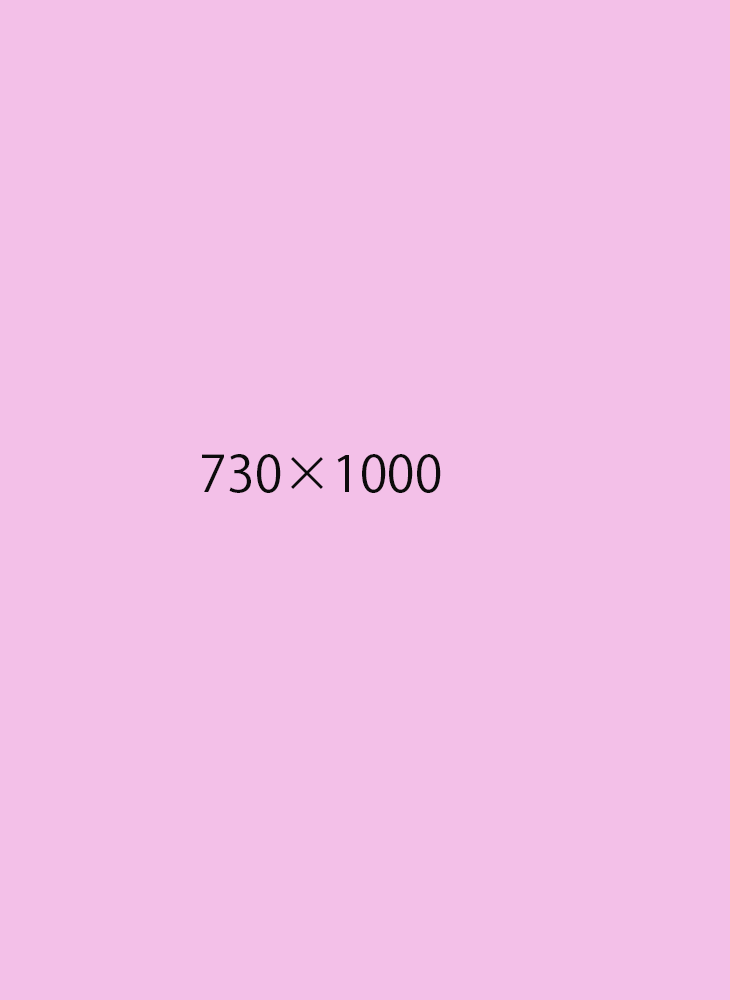 dummy_cateTOP_730x1000test.png